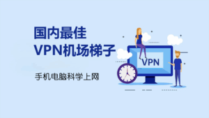 如何在中国大陆找一个梯子上外网？国内最好用的VPN有哪些？